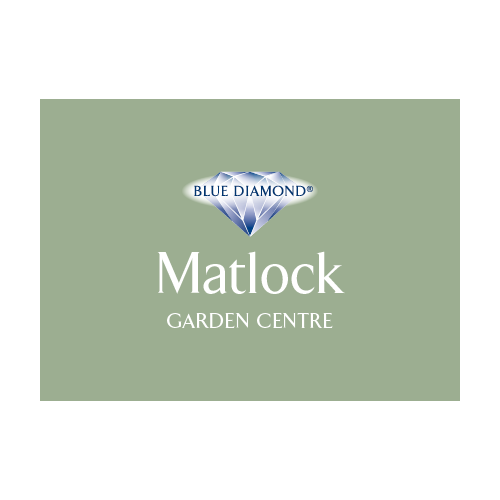 Blue diamond site online